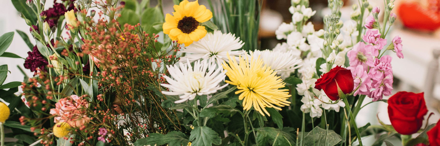 Calendrier Saisonnier pour Planter Vos Arbres, Arbustes et Fleurs : Assurez un Jardin en Pleine Santé - Fleur de Nuit