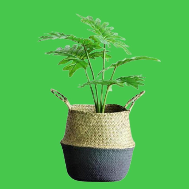 Pot de Fleur Bamboo