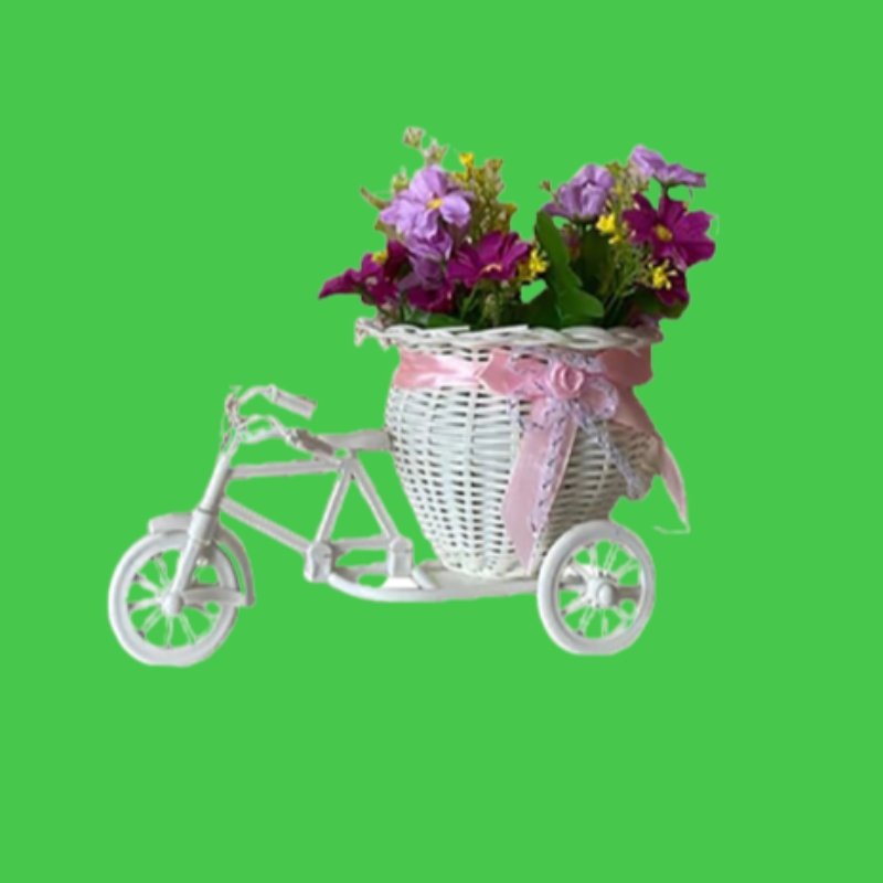 Pot de Fleur<br/> Bicyclette - Fleur de Nuit